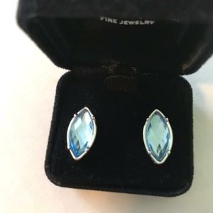 Blue raindrop earrings